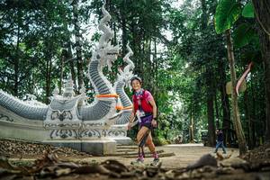 BIB: 
                            <button type="button" onclick="openModal(26053916)" class="btn btn-primary btn-sm float-right btn-popup" data-toggle="modal" data-target=".modal-high-quality">
                        <i class="fas fa-shopping-cart"></i> Add to Cart
                    </button>
                                            <button type="button" onclick="isThisMe(26053916, true)" class="btn btn-success btn-sm float-right btn-popup btn-isme hidden" data-toggle="tooltip" data-placement="bottom" title="นี่คือรูปของคุณใช่ไหม คลิกที่นี่เพื่อเอาเข้าอัลบั้ม">
                        <i class="fas fa-plus"></i> Add to album
                    </button>
                    <button type="button" onclick="isThisMe(26053916, false)" class="btn btn-warning btn-sm float-right btn-popup btn-isnotme hidden">
                        <i class="fas fa-ban"></i> Remove from album
                    </button>